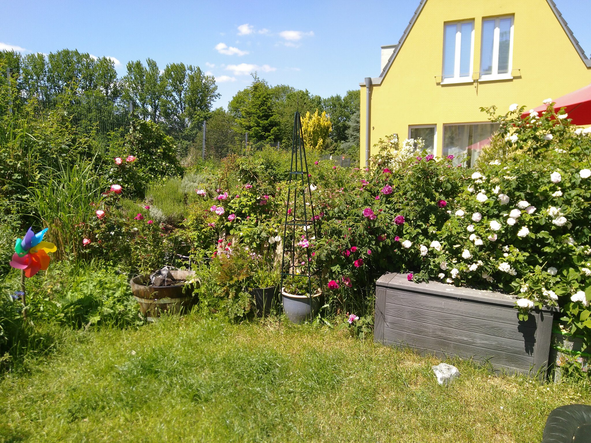 gelbe Häuser - Beginenhof Bochum